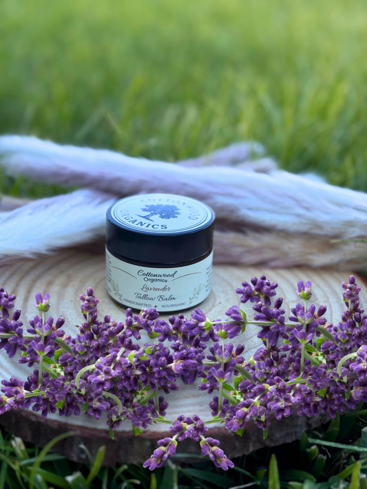Wild Lavender Tallow Balm